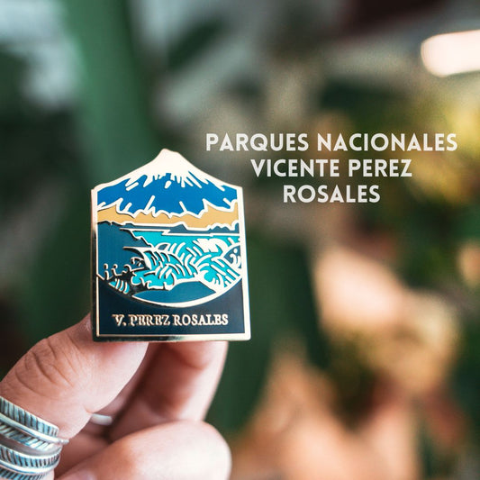 Pin Parque Nacional | Vicente Perez Rosales |