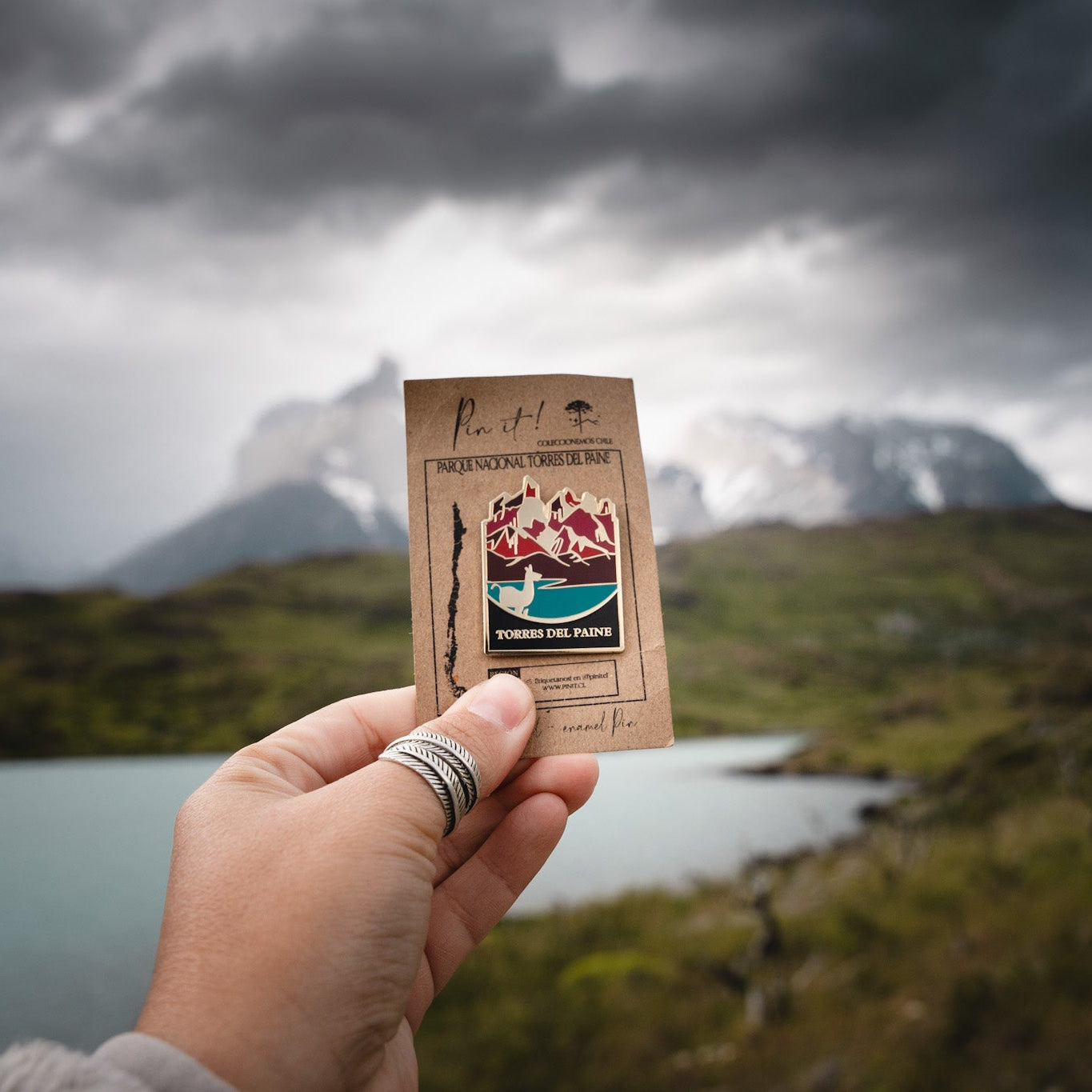 Pin Parque Nacional | Torres del Paine |