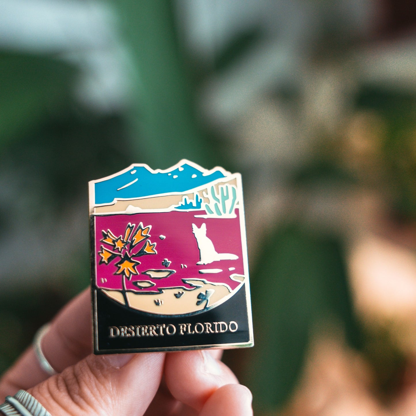 PIN Parque Nacional | Desierto Florido |