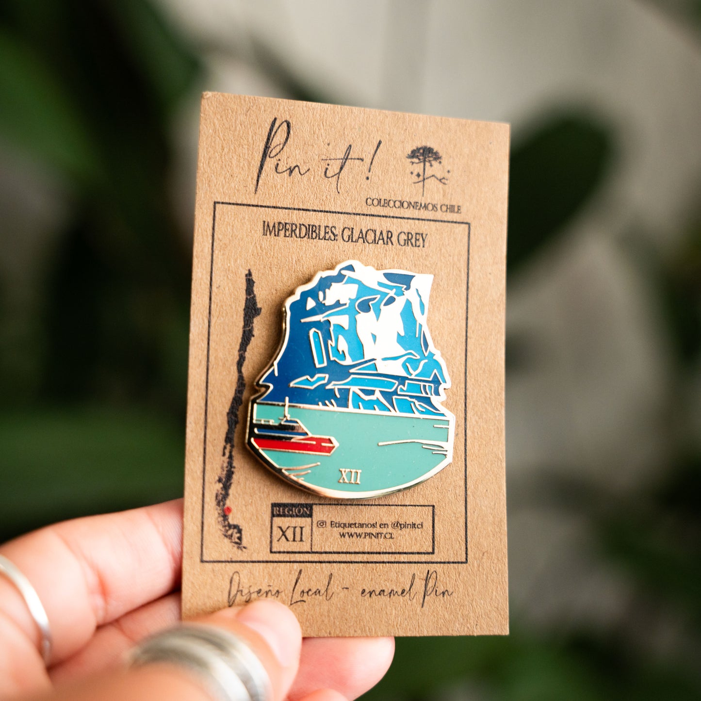 Pin  Imperdibles  |  Glaciar Grey |