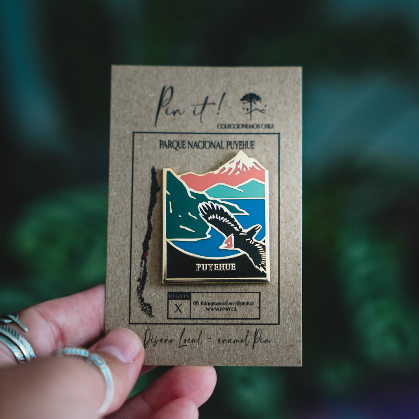 Pin Parque Nacional | Puyehue |