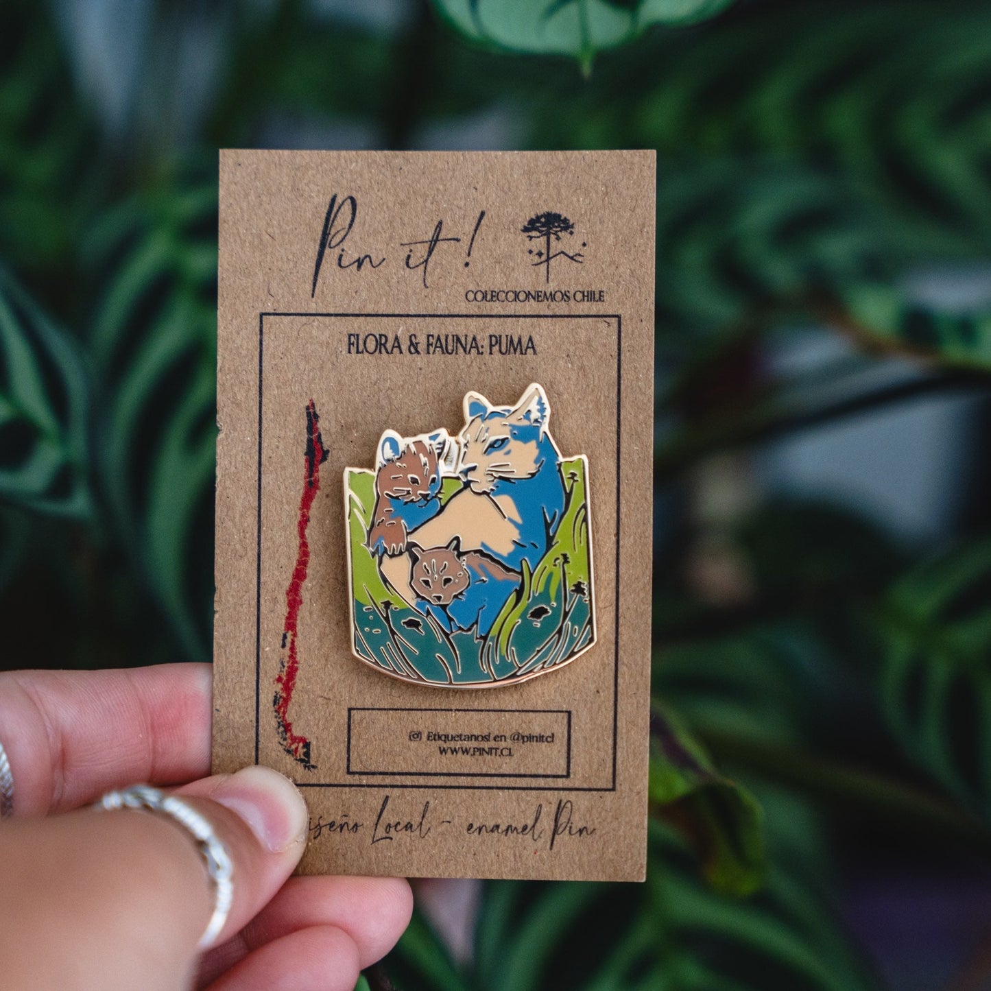 Pin Flora & Fauna |  Puma |