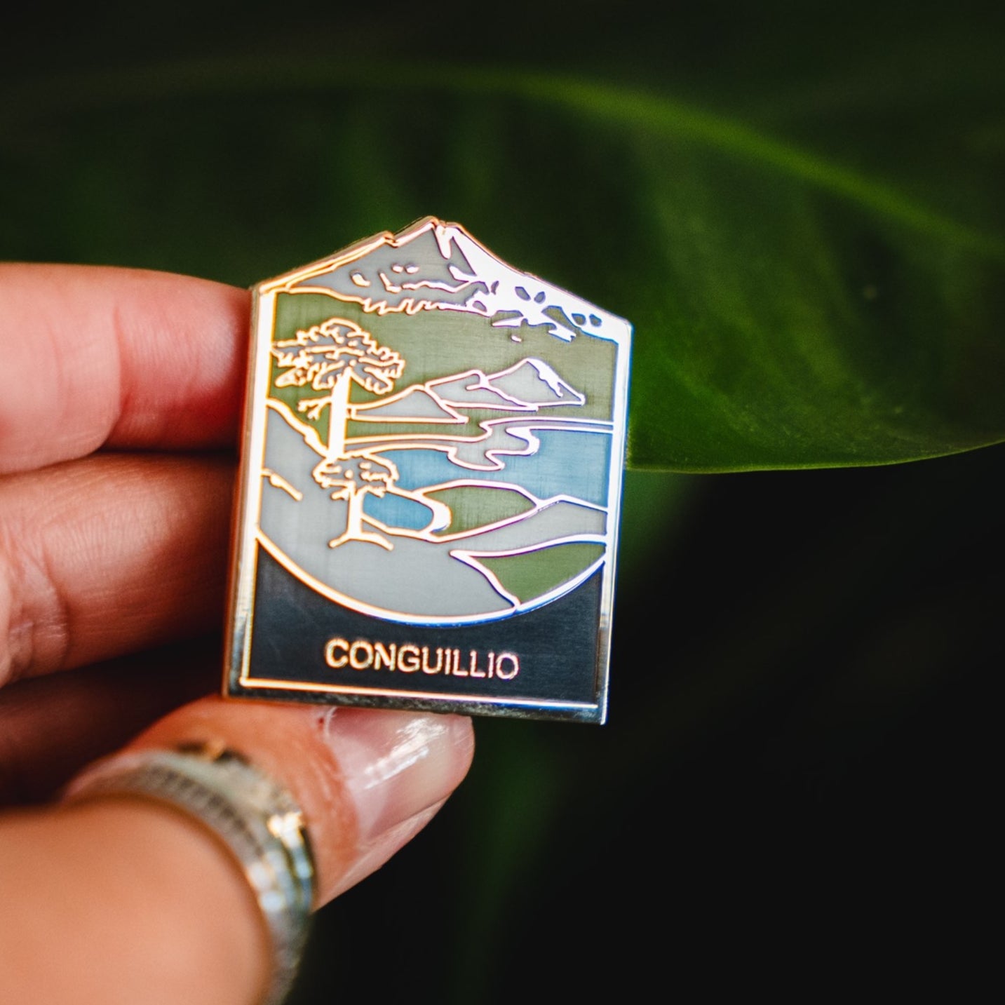 Pin Parque Nacional | Conguillio |