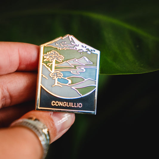 Pin Parque Nacional | Conguillio |