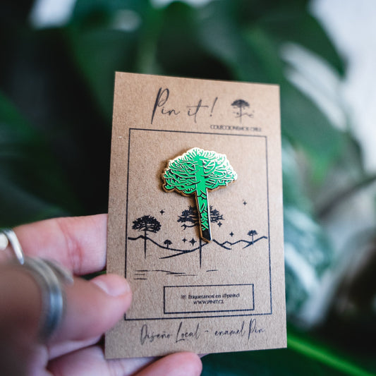 Pin Araucaria Chilena | Mini |