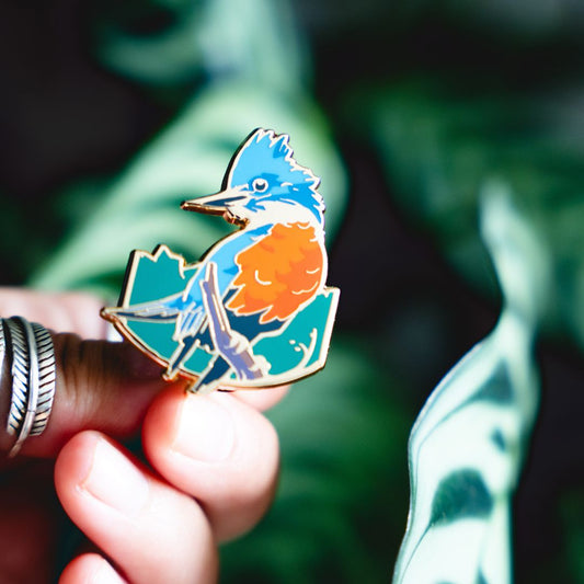 Pin Flora &  Fauna | Martin Pescador  | Macho